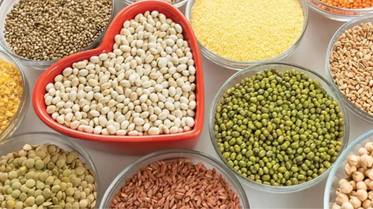 sprouts-1